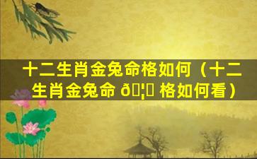 十二生肖金兔命格如何（十二生肖金兔命 🦄 格如何看）